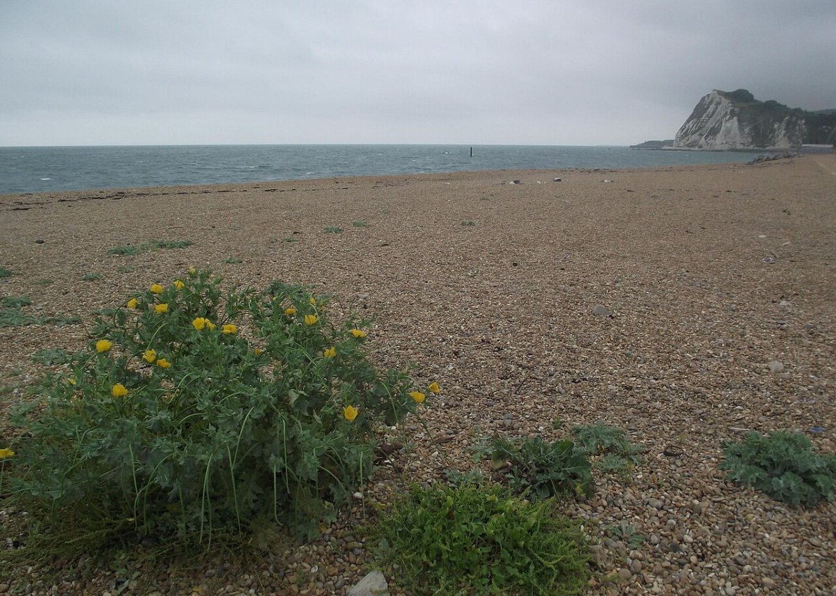 Karl Bushby walked around the world for 28 years, swims into England, with 400 km left to his native Hull